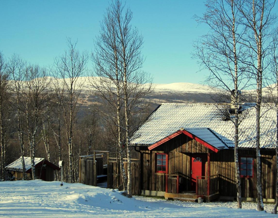 Villa Fjaellfrid Stugby Bruksvallarna Exterior foto